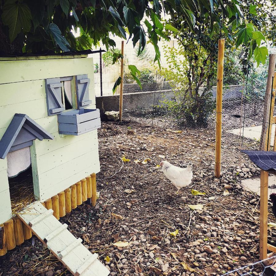 Bed and Breakfast Aux Champés Saussignac Exterior foto